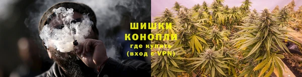 гидропоника Нея