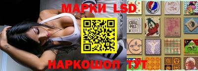 спиды Камышлов