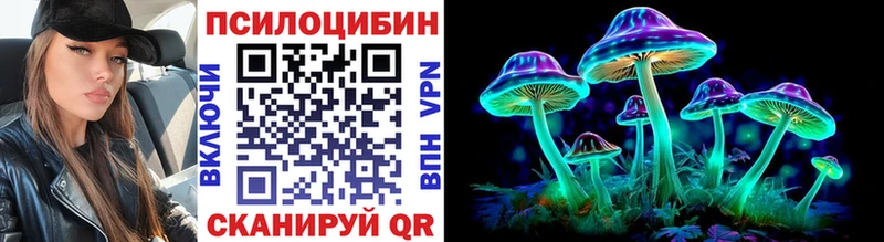 Псилоцибиновые грибы Cubensis  Ржев 