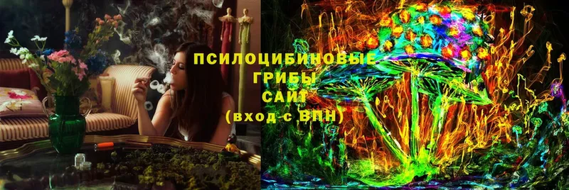 Галлюциногенные грибы Magic Shrooms Ржев