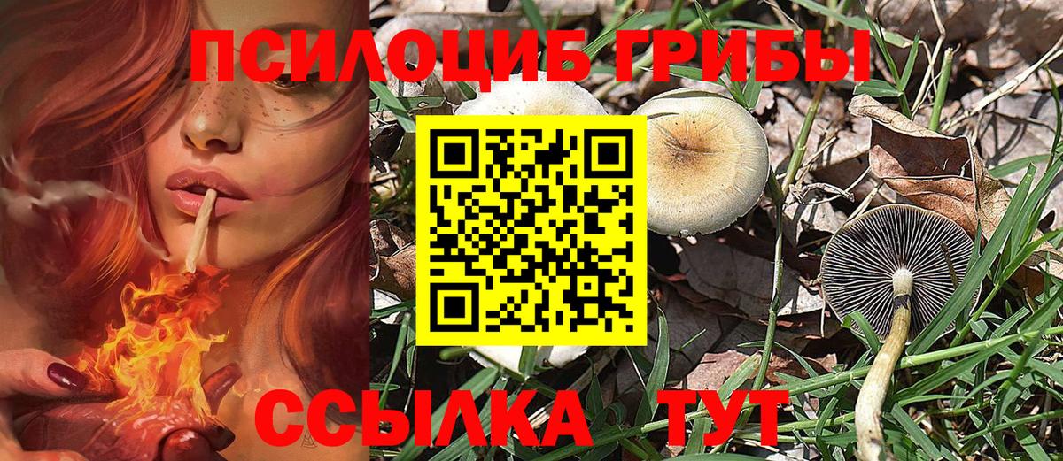 Галлюциногенные грибы мухоморы  Вход с VPN  Галлюциногенные грибы MAGIC MUSHROOMS  Ржев 