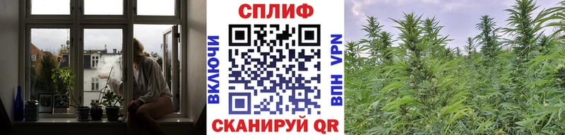 Бошки Шишки MAZAR  Ржев 